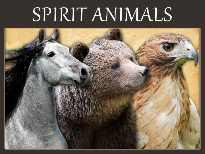 Animals In Your Spiritual Dreams Animals In Your Spiritual Dreams