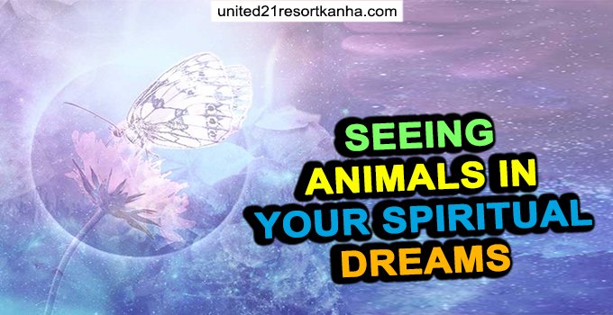 Animals In Your Spiritual Dreams Animals In Your Spiritual Dreams