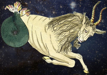 Discover More Facts & Traits of a Capricorn gain more insights into capricorn zodiac sign