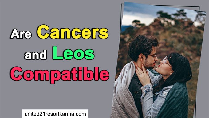 Will a Cancer - Leo Relationship Work? cancers and leos compatible or not