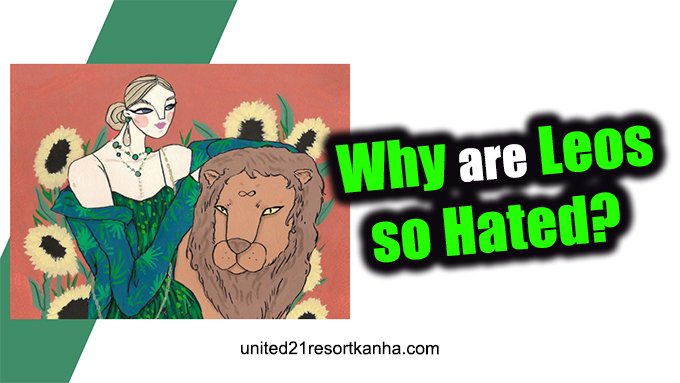 6 Reasons Explaining Why Leos are Hated reasons explained leos so hated