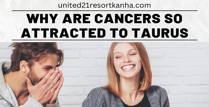 3 Reasons Cancers Got Attracted to Taurus reasons cancers get attracted by taurus