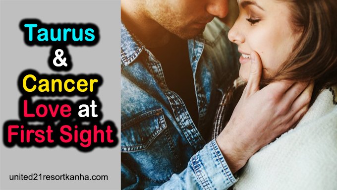 Taurus and Cancer Love at First Sight (Things to Know)