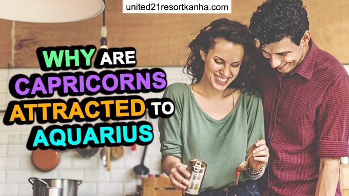 Why are Capricorns Attracted to Aquarius (Good Match or Not)